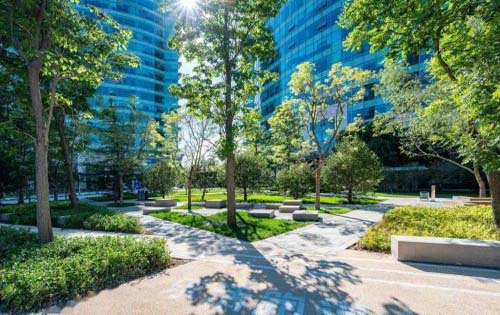 弘源总部广场实拍图3